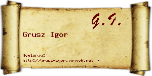 Grusz Igor névjegykártya